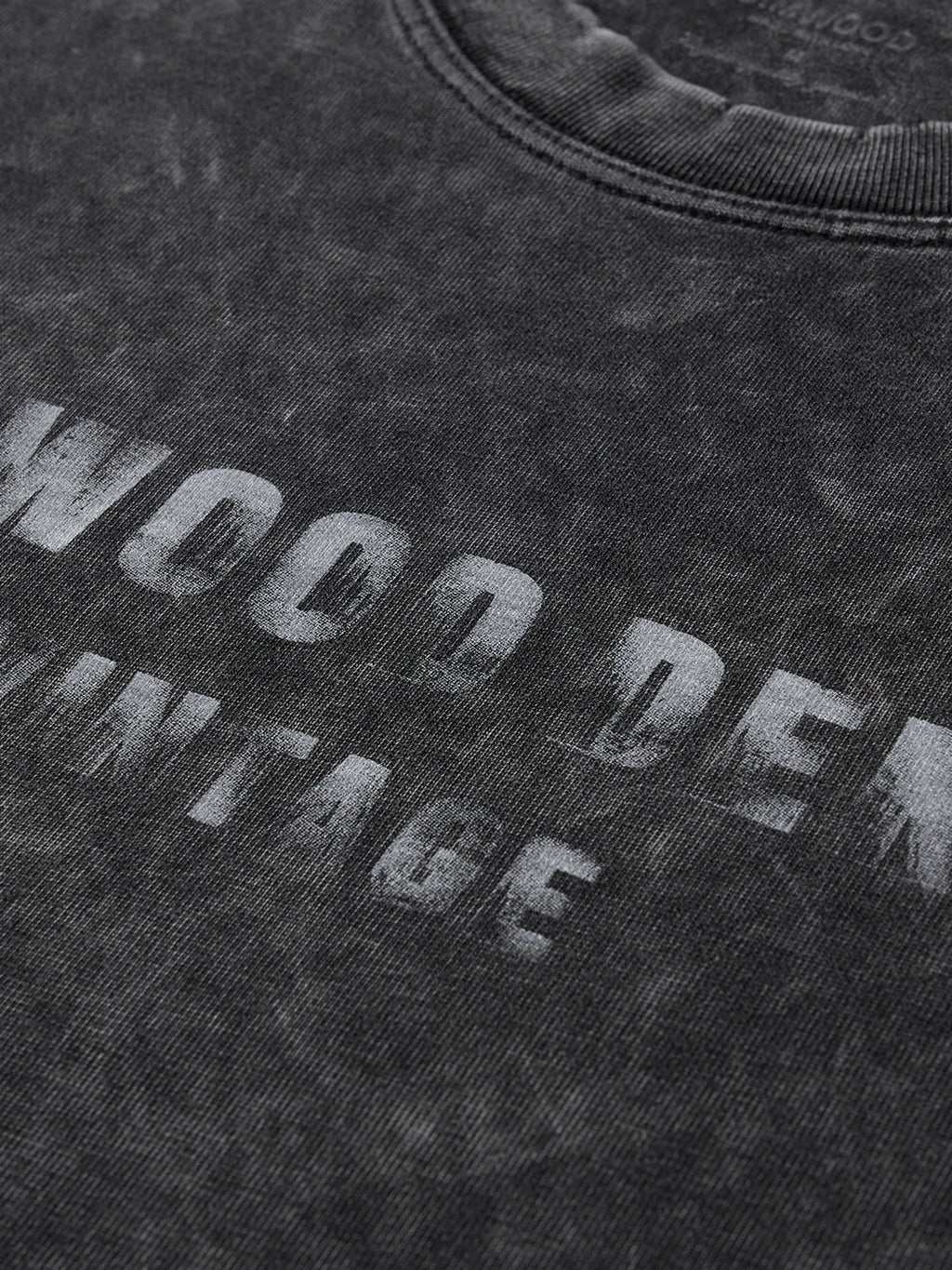 Vintage Snow Wash Distressed Print T-Shirt
